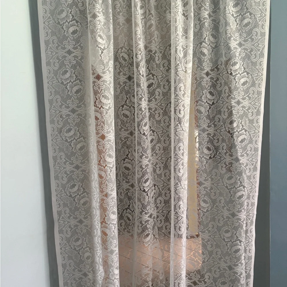 Sheer Lace Curtain Panel in Ivory